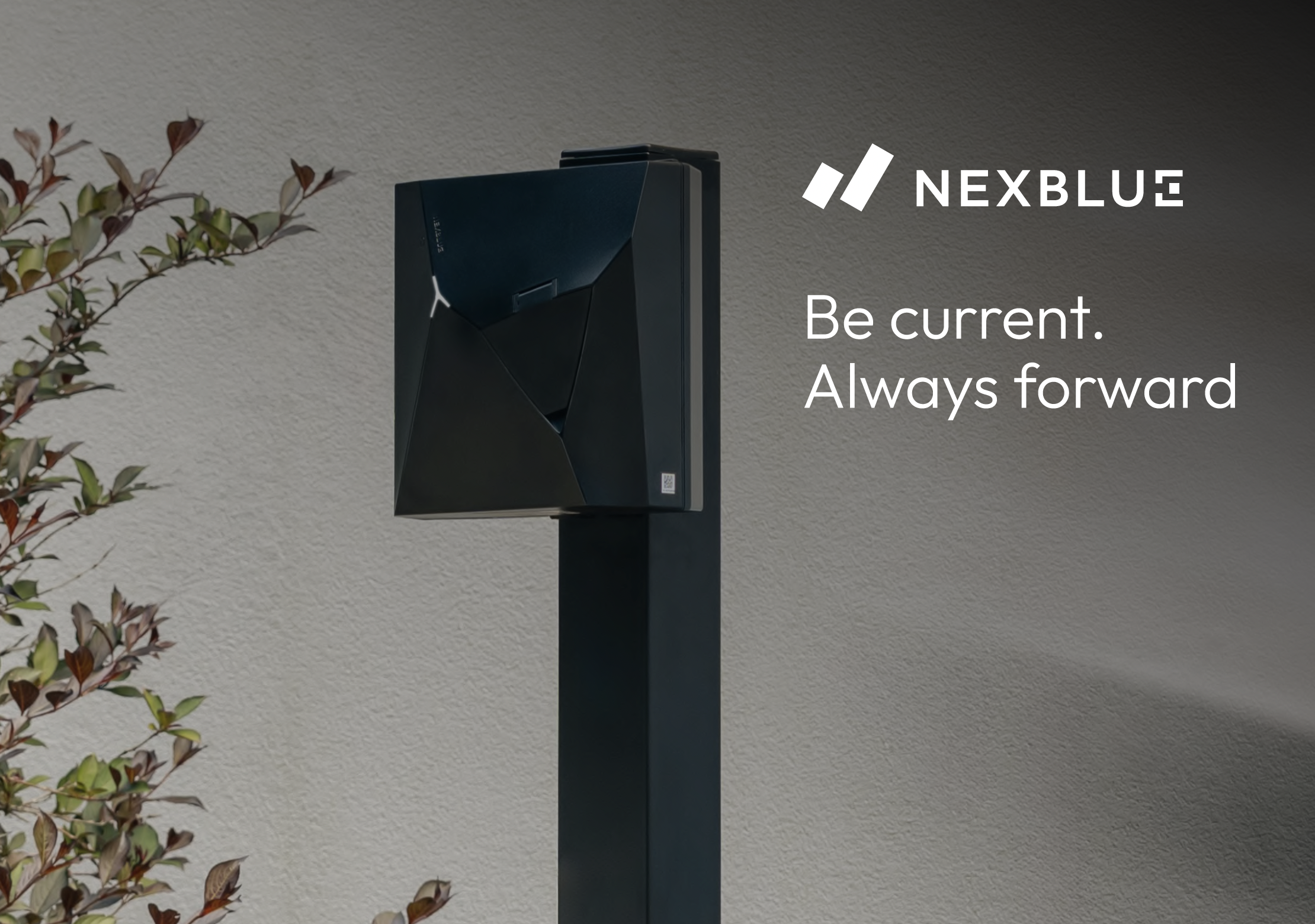 Nexblue banner